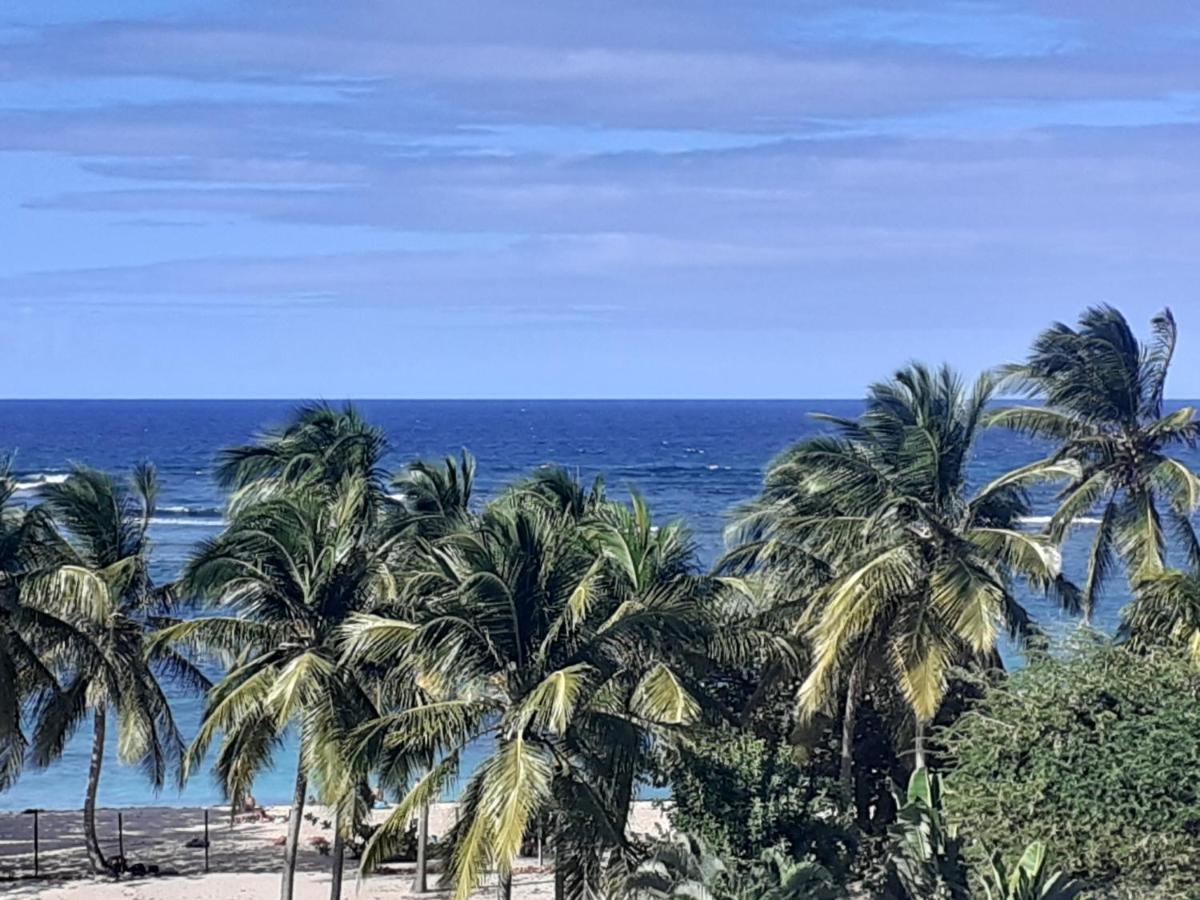 Studio Vue Sur Mer Le Moule Luaran gambar